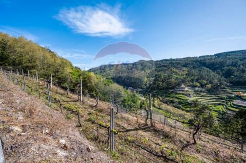 Terreno  para venda