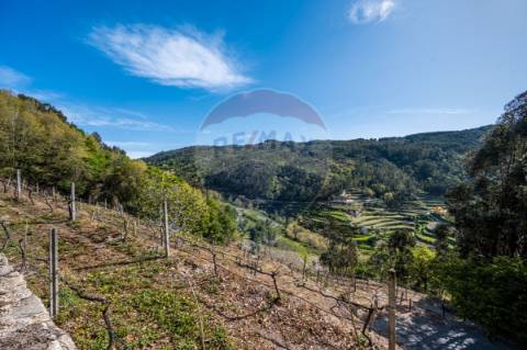 Terreno  para venda