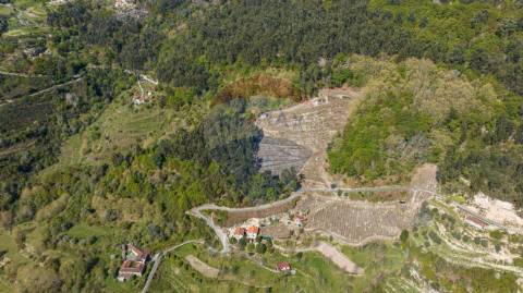 Terreno  para venda