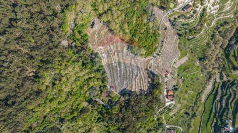 Terreno  para venda