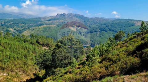 Terreno  para venda