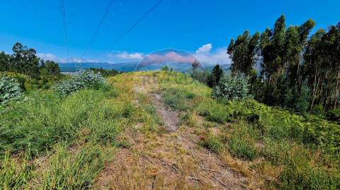 Terreno  para venda