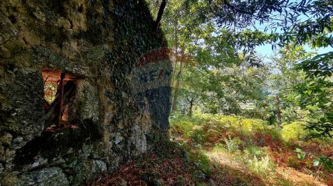 Terreno  para venda
