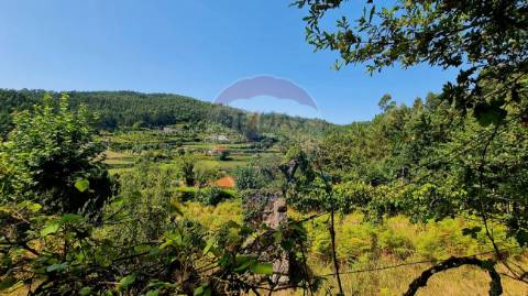 Terreno  para venda