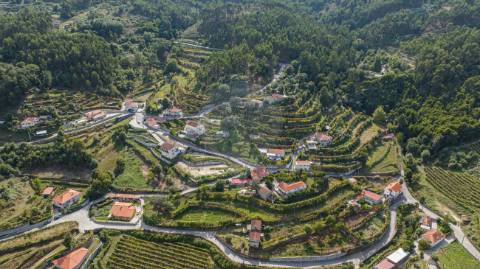 Terreno  para venda