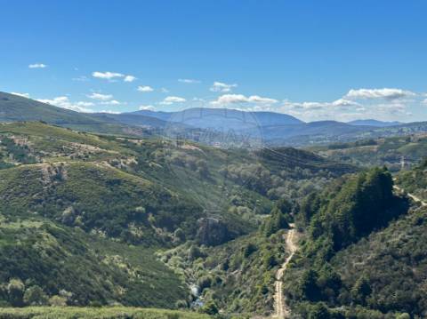 Terreno  para venda