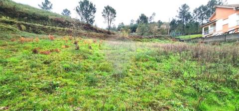 Terreno  para venda