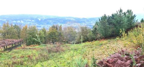Terreno  para venda