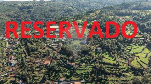 Terreno  para venda