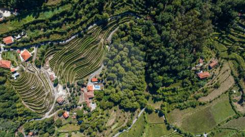 Quinta  para venda