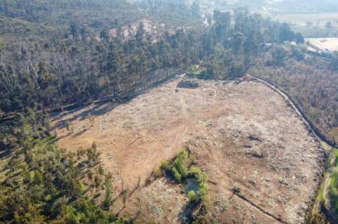 Terreno  para venda