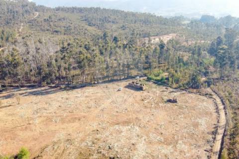 Terreno  para venda