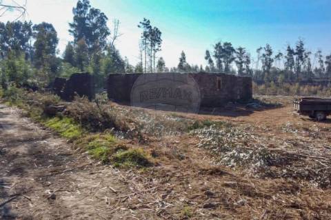 Terreno  para venda