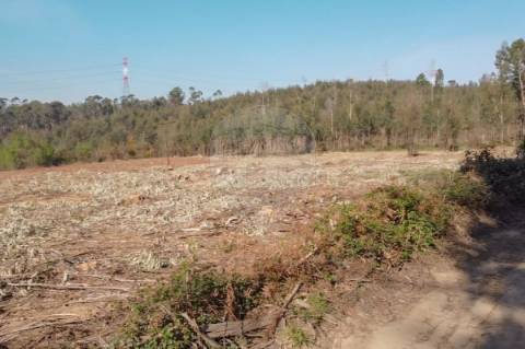 Terreno  para venda
