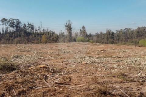 Terreno  para venda