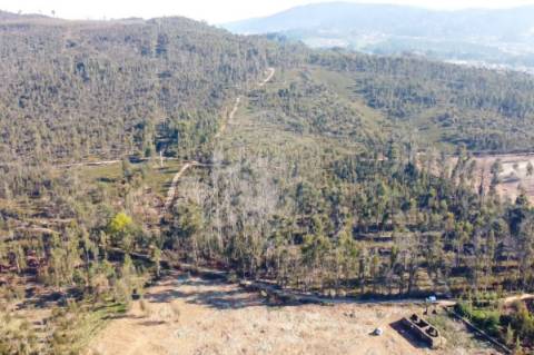 Terreno  para venda