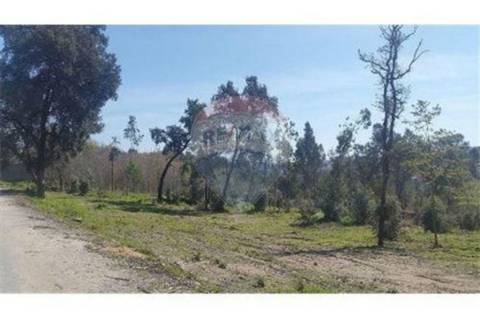Terreno  para venda