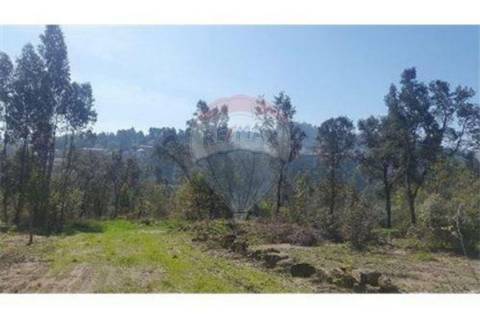 Terreno  para venda