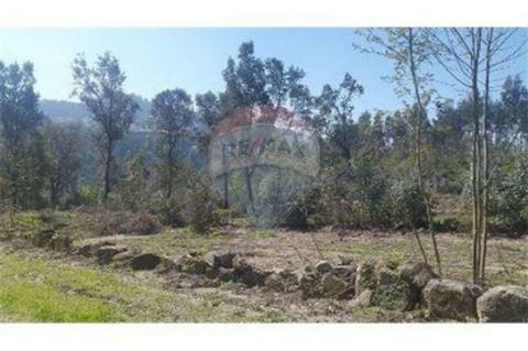 Terreno  para venda