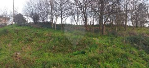 Terreno  para venda