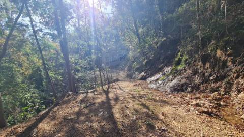 Terreno  para venda