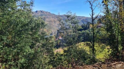 Terreno  para venda