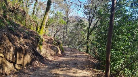 Terreno  para venda