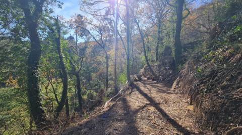 Terreno  para venda