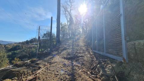 Terreno  para venda