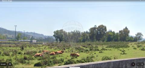 Terreno  para venda