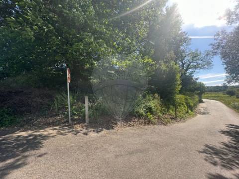 Terreno  para venda