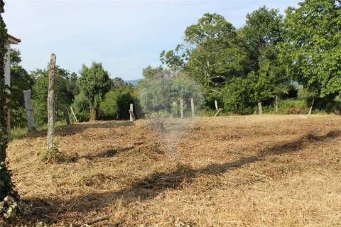 Terreno  para venda