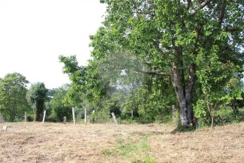 Terreno  para venda