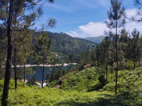 Terreno  para venda