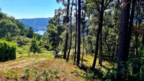 Terreno  para venda