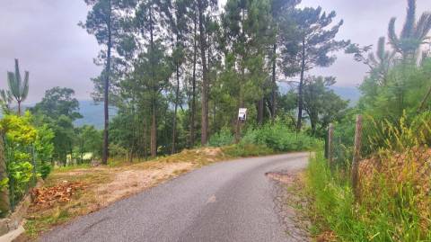 Terreno  para venda