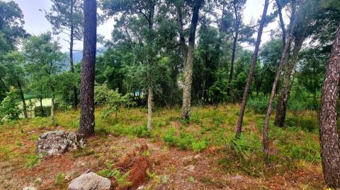Terreno  para venda