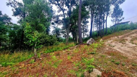 Terreno  para venda