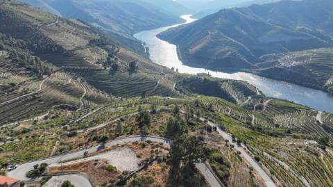 Terreno  para venda