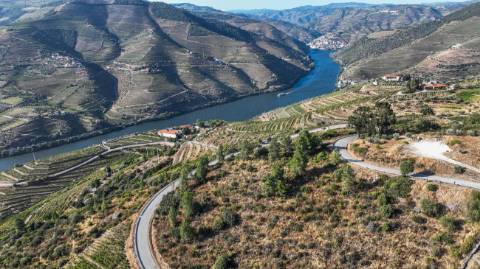Terreno  para venda