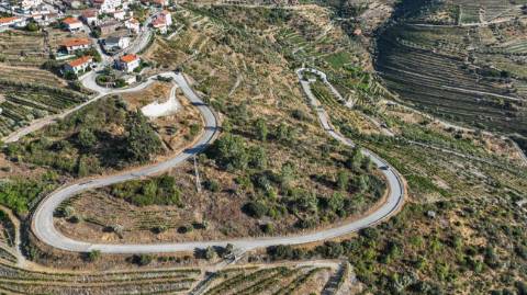 Terreno  para venda