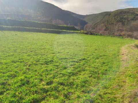Terreno  para venda