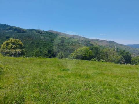 Terreno  para venda