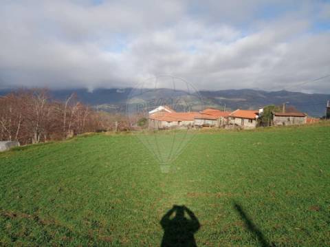 Terreno  para venda