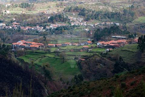 Terreno  para venda