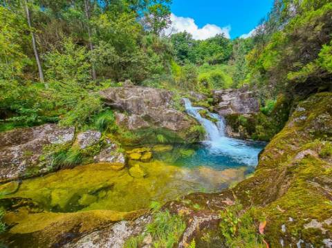 Terreno  para venda