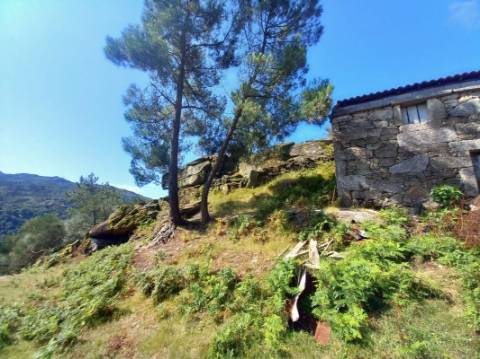 Quinta  para venda