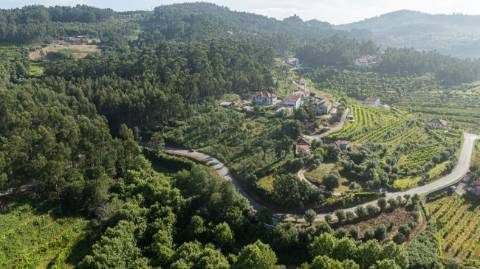 Terreno  para venda