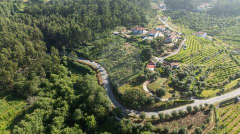 Terreno  para venda