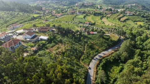 Terreno  para venda